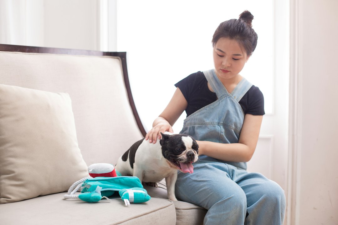 Entre deux toilettages, ce que vous pouvez faire pour votre chien